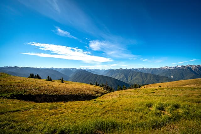 Hurricane Ridge, WA