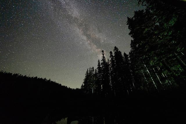 Night Sky over Thomas Lake, WA