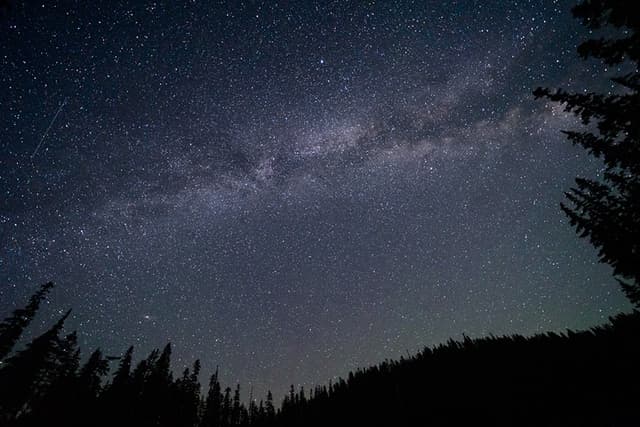 Night Sky over Thomas Lake, WA